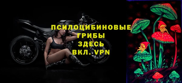 круглые Алзамай